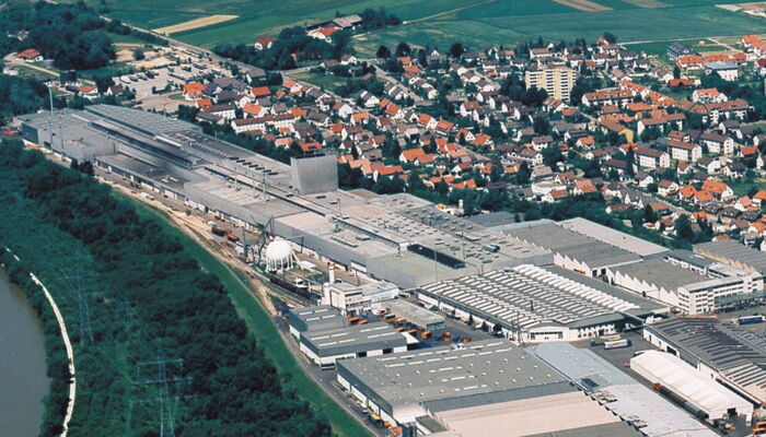 Photography of the plant